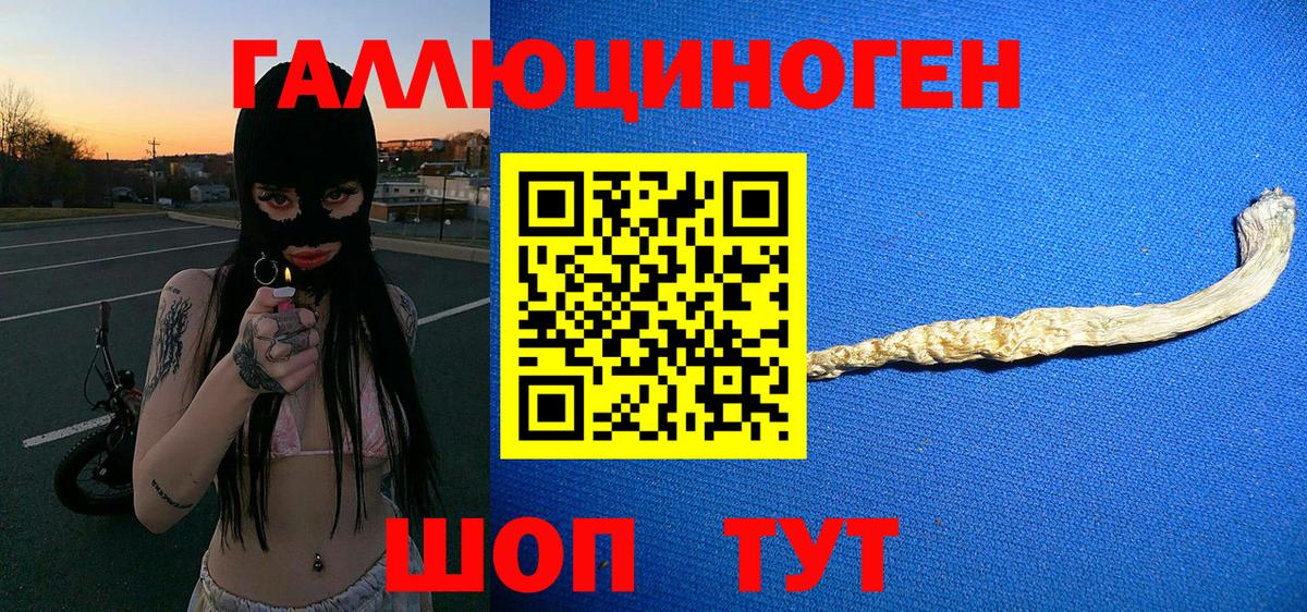 Псилоцибиновые грибы мицелий  Вход с VPN  Кудымкар 