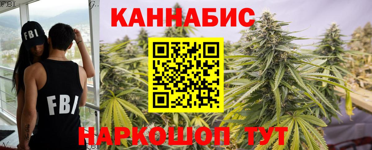 Конопля гибрид Кудымкар